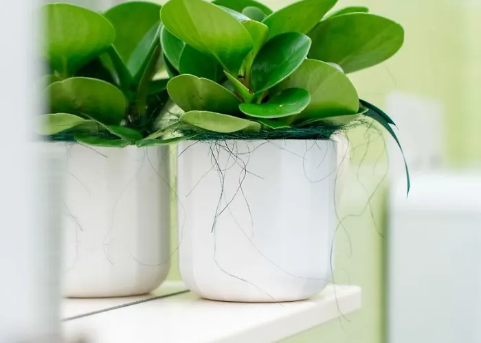 Apartament St Mark's Square - K Collection