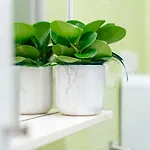 דירה St Mark's Square - K Collection