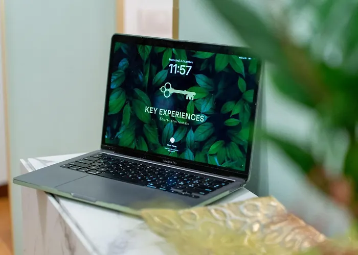 St Mark's Square - K Collection